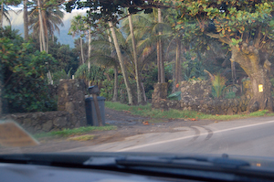 The gate, at Myrtle's.